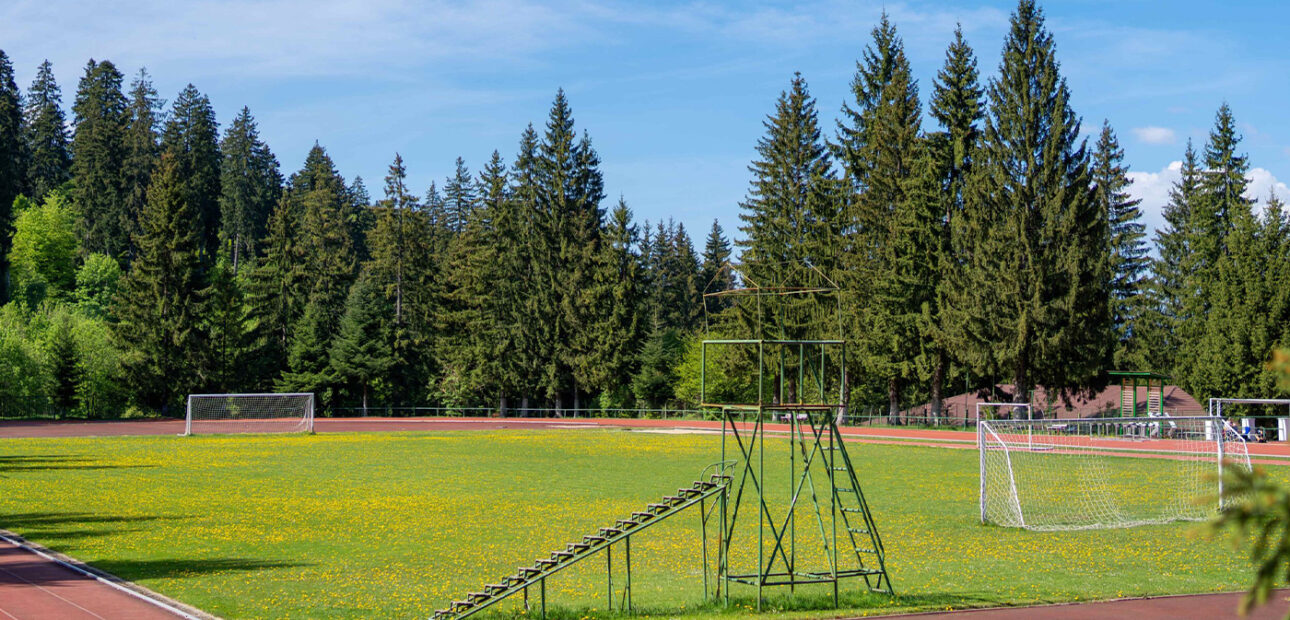 Activities for the Whole Family Vacation in Dallas, Oregon